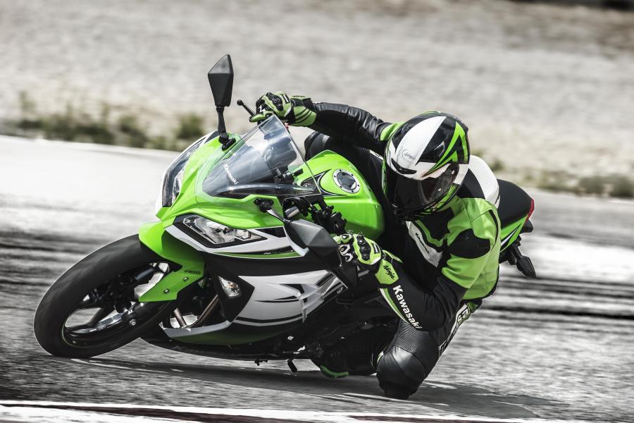 Kawasaki Ninja 300 30th Anniversary Edition